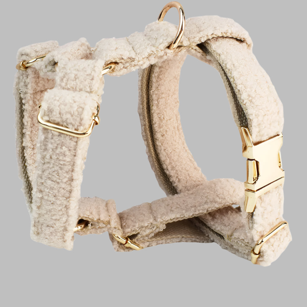 TeddySoft™ Dog Collar & Leash