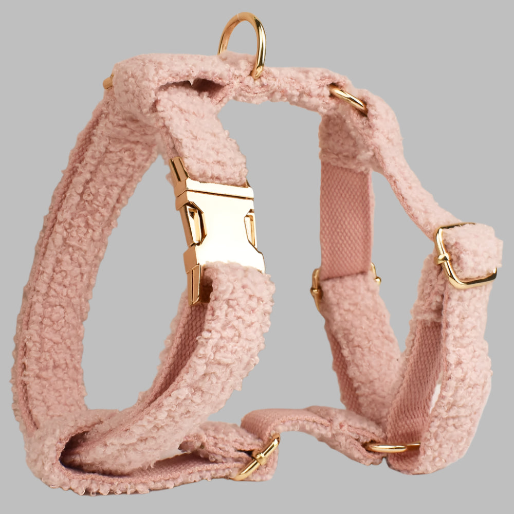 TeddySoft™ Dog Collar & Leash