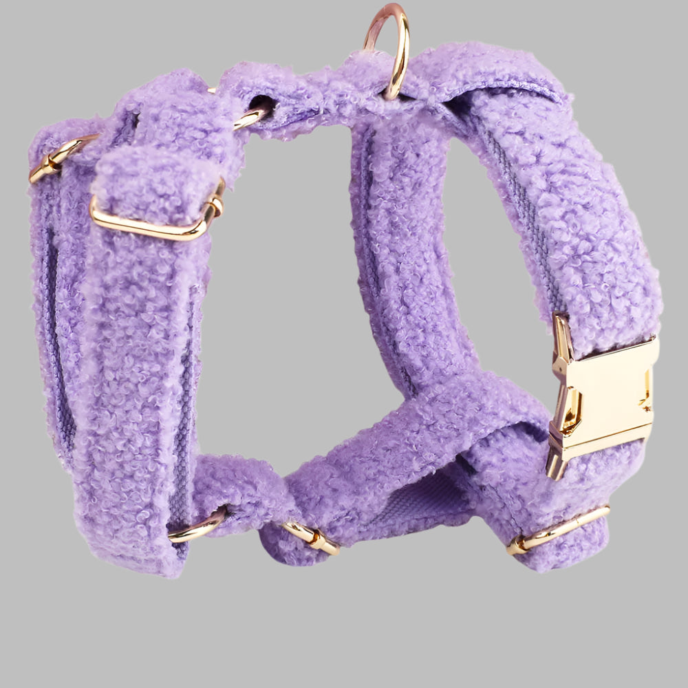 TeddySoft™ Dog Collar & Leash