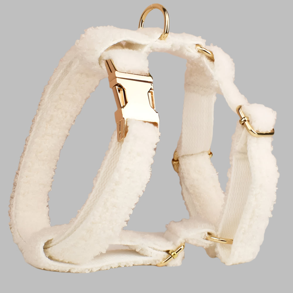 TeddySoft™ Dog Collar & Leash