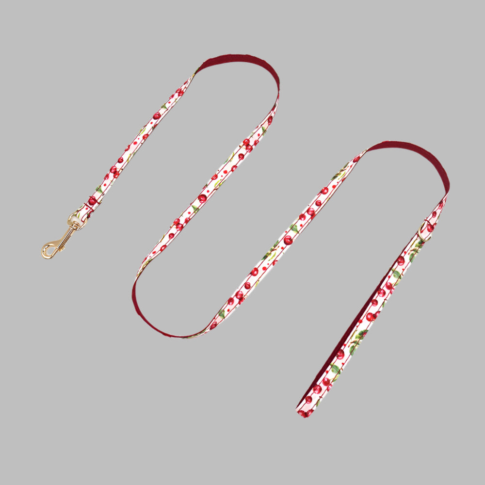 PawCharm™ Custom Cat Collar with Bell & Bow