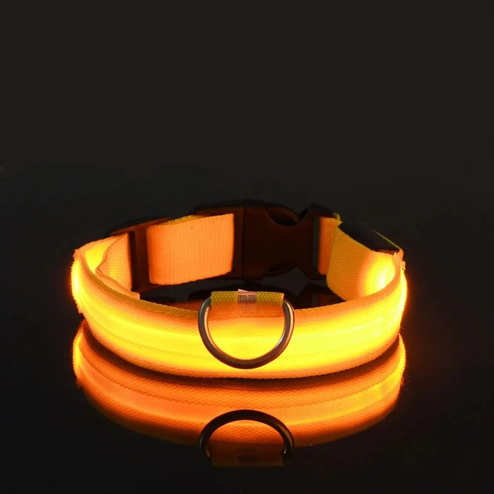 GlowPaw™ LED Safety Dog Leash & Collar – Light-Up Nylon for Night Walks