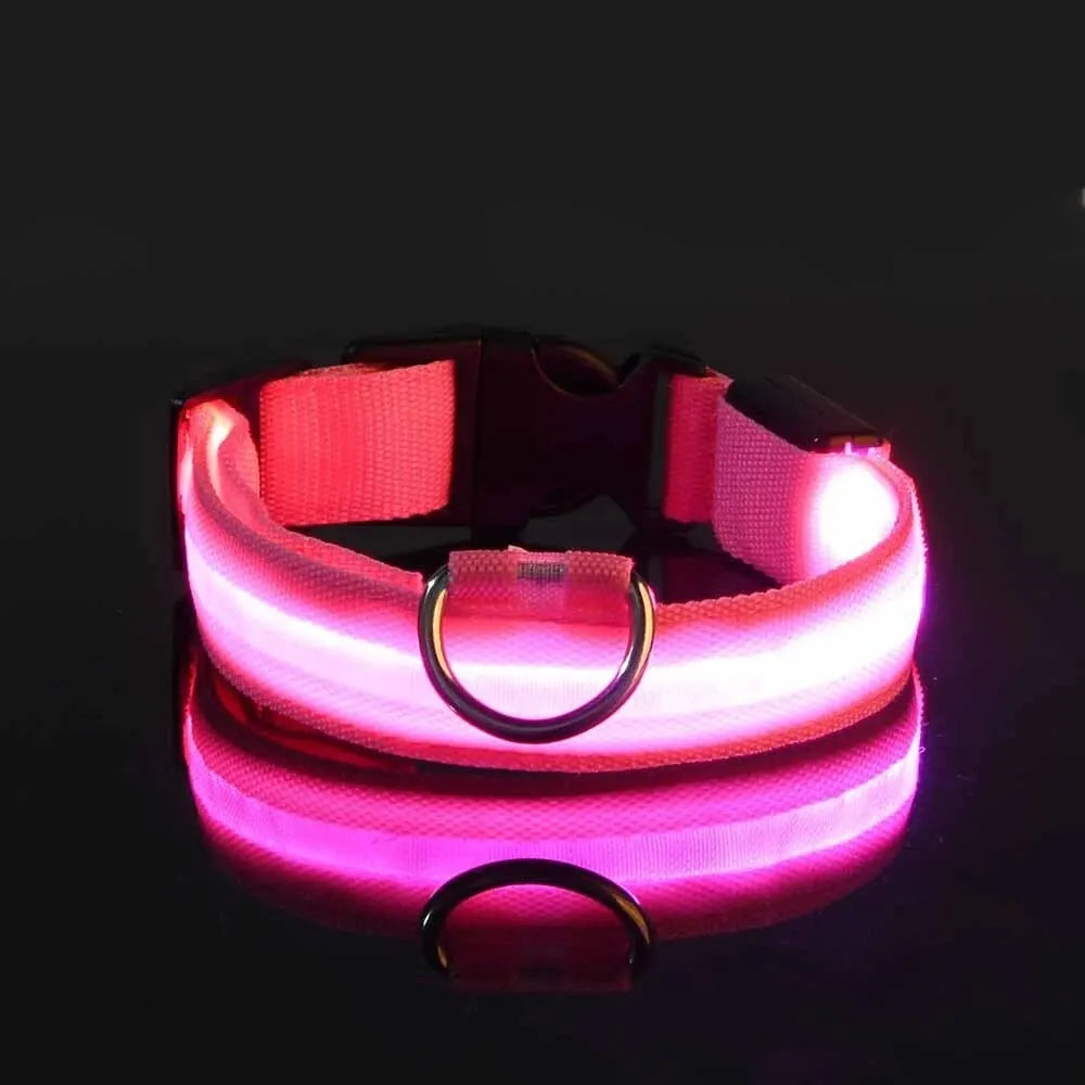 GlowPaw™ LED Safety Dog Leash & Collar – Light-Up Nylon for Night Walks
