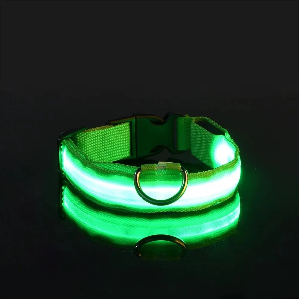 GlowPaw™ LED Safety Dog Leash & Collar – Light-Up Nylon for Night Walks