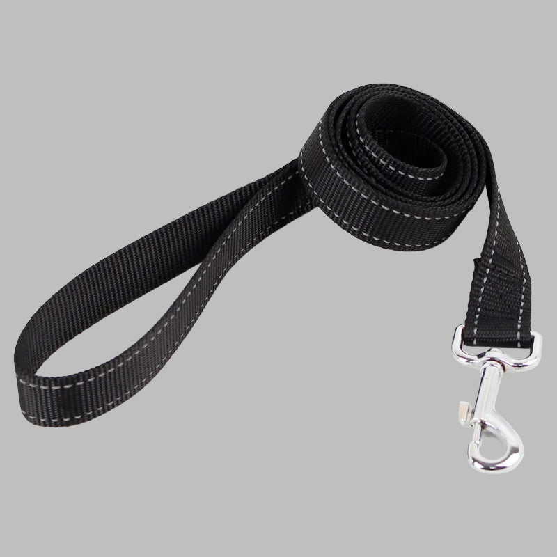 Reflective Dog Collar™ – Adjustable Comfort