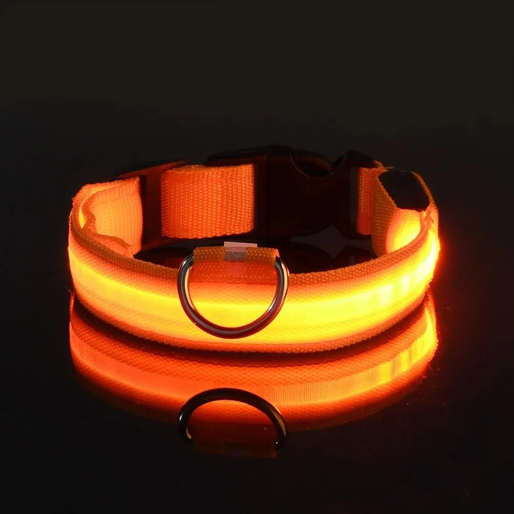 GlowPaw™ LED Safety Dog Leash & Collar – Light-Up Nylon for Night Walks