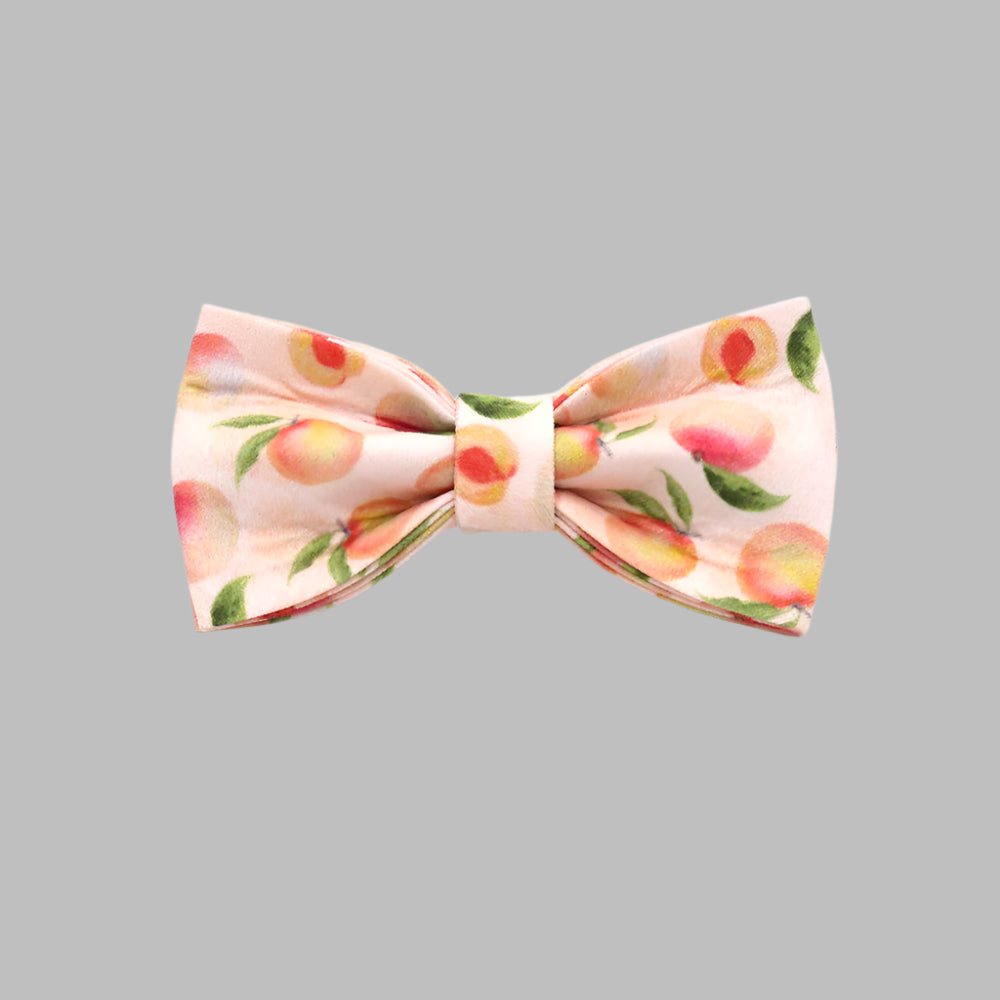PawCharm™ Custom Cat Collar with Bell & Bow