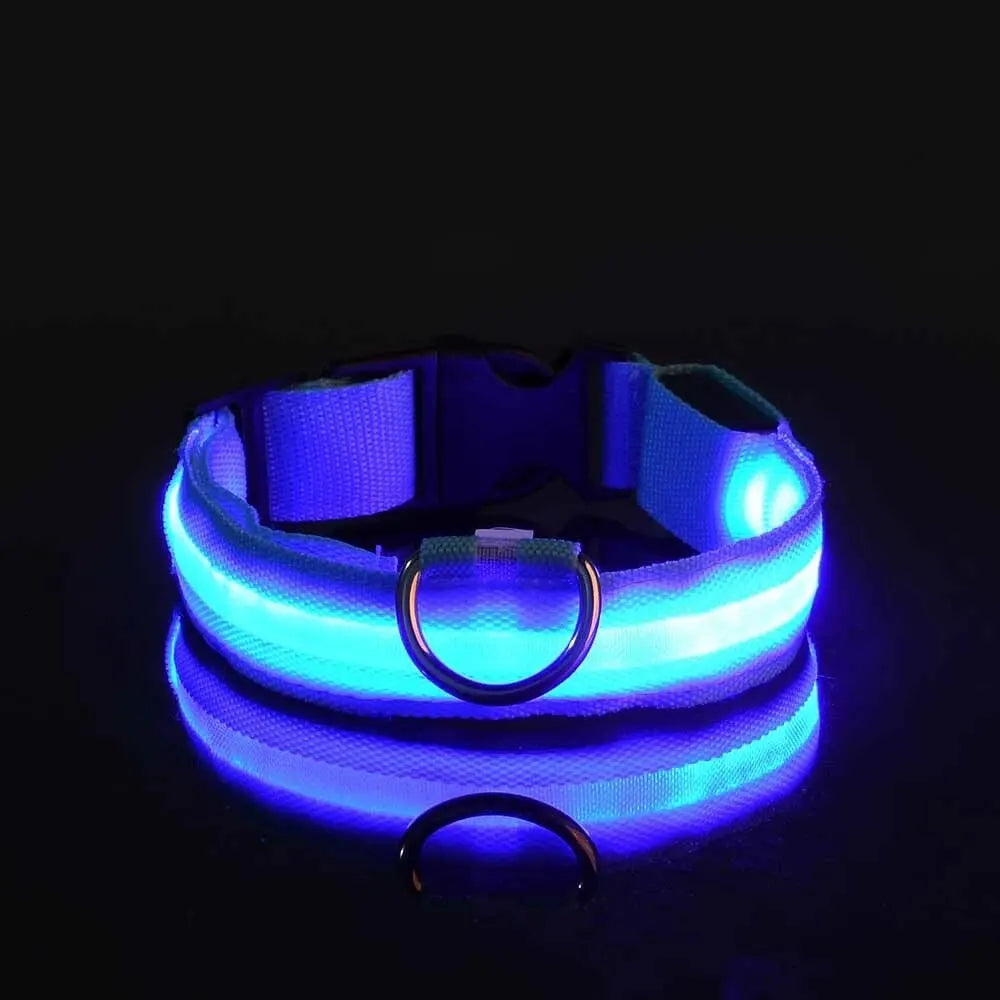 GlowPaw™ LED Safety Dog Leash & Collar – Light-Up Nylon for Night Walks