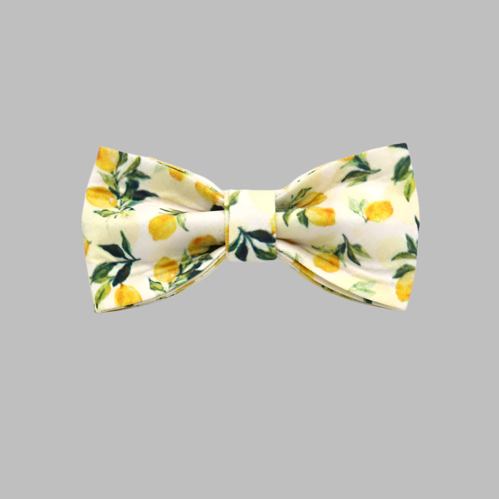 PawCharm™ Custom Cat Collar with Bell & Bow