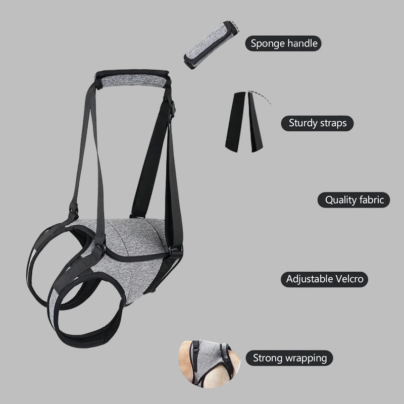 LiftEase™ Adjustable Dog Support Harness