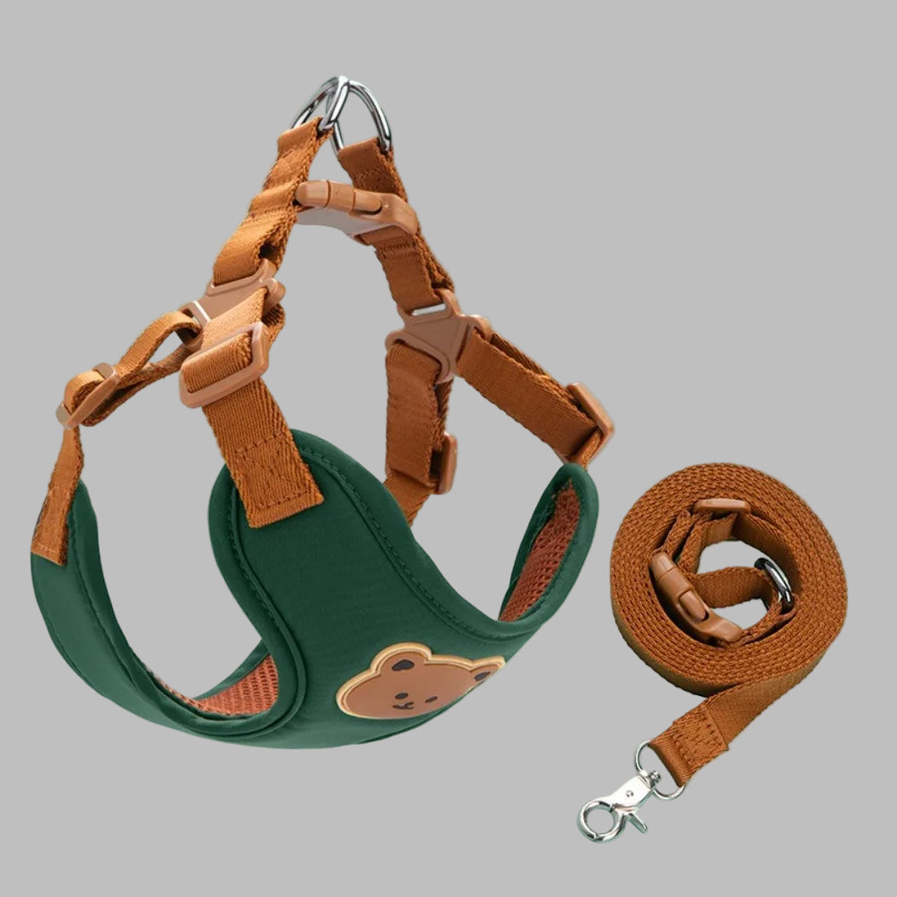 PawCharm™ Cartoon Pet Harness & Leash