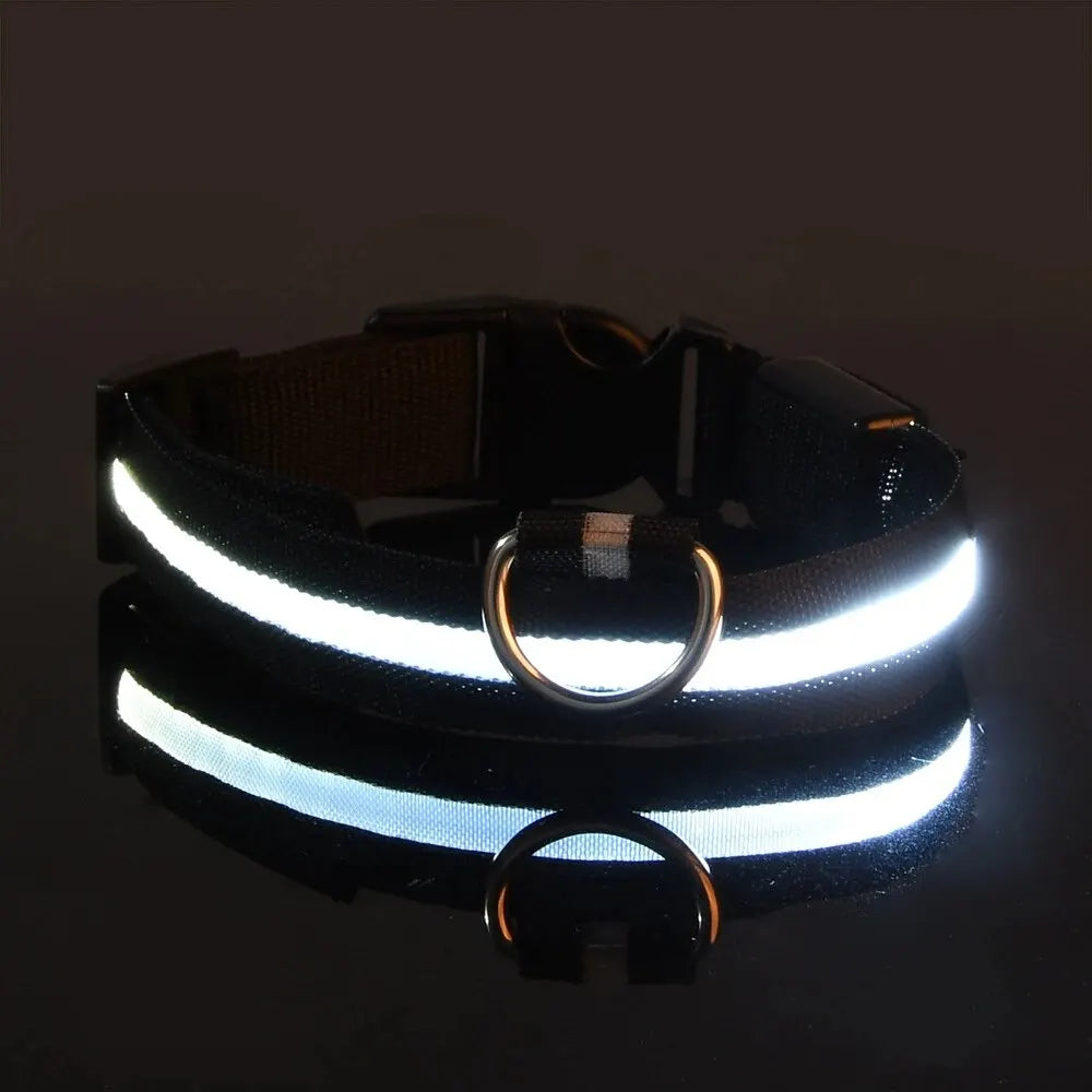 GlowPaw™ LED Safety Dog Leash & Collar – Light-Up Nylon for Night Walks