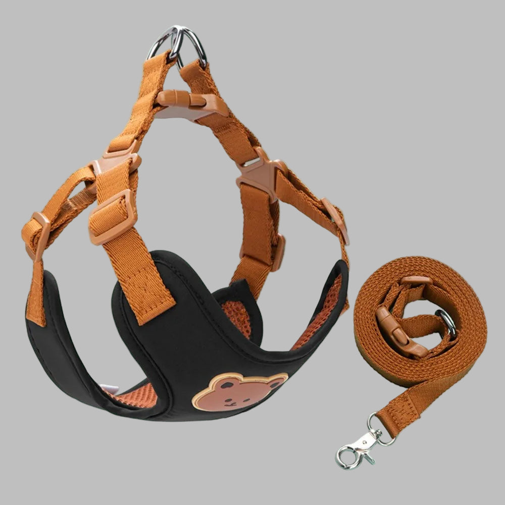PawCharm™ Cartoon Pet Harness & Leash