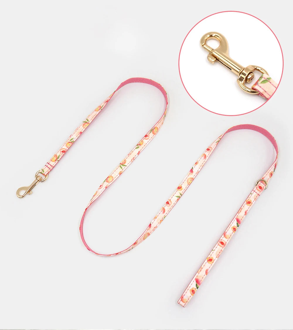PawCharm™ Custom Cat Collar with Bell & Bow