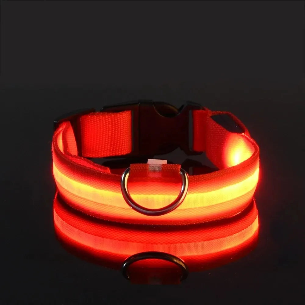 GlowPaw™ LED Safety Dog Leash & Collar – Light-Up Nylon for Night Walks