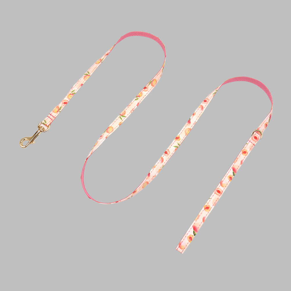 PawCharm™ Custom Cat Collar with Bell & Bow
