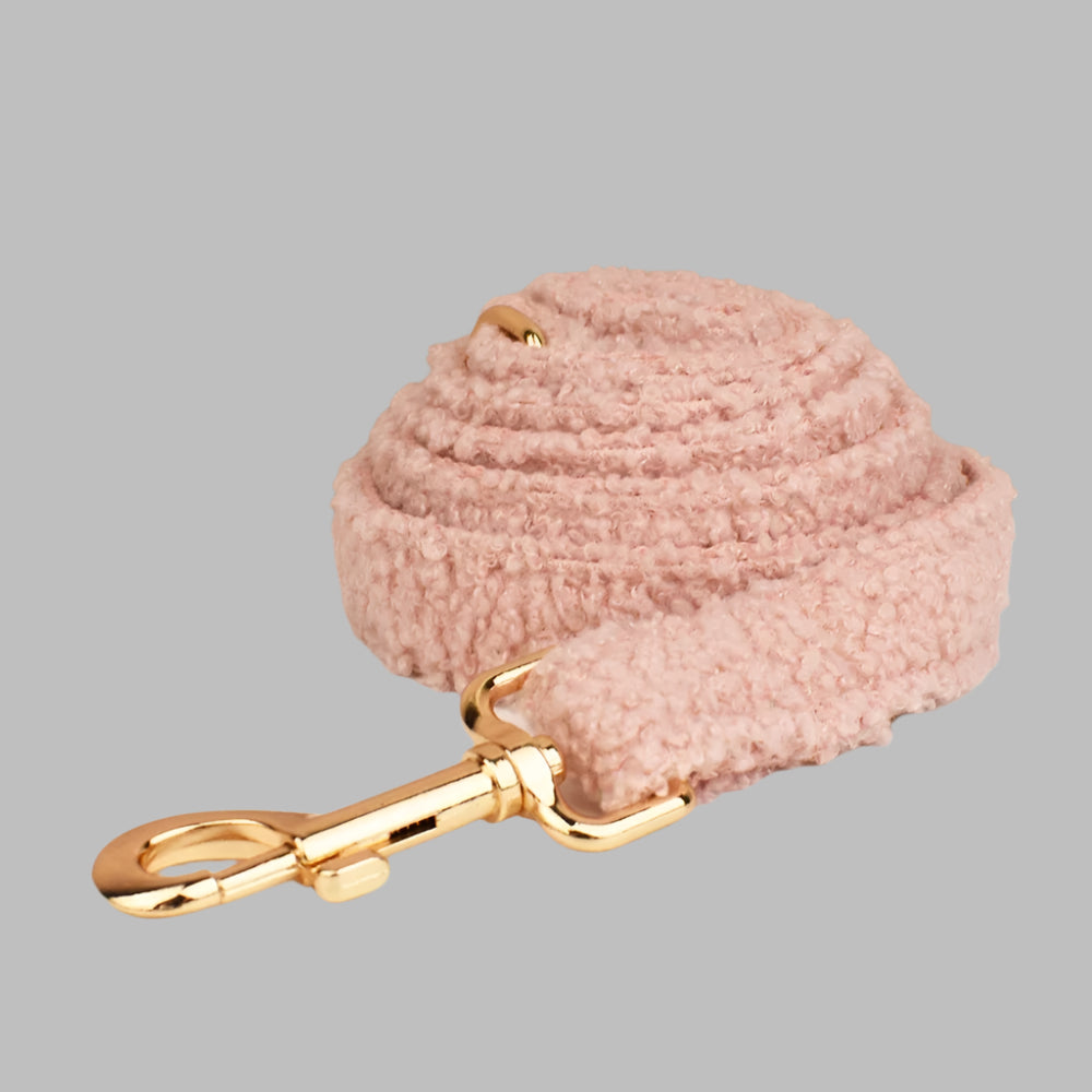 TeddySoft™ Dog Collar & Leash