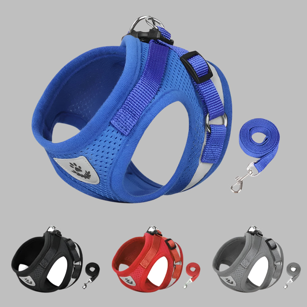 AdventurePurr™ Reflective Cat Harness & Lead Set