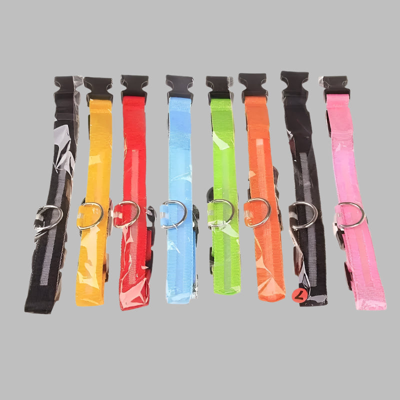 GlowPaw™ LED Safety Dog Leash & Collar – Light-Up Nylon for Night Walks