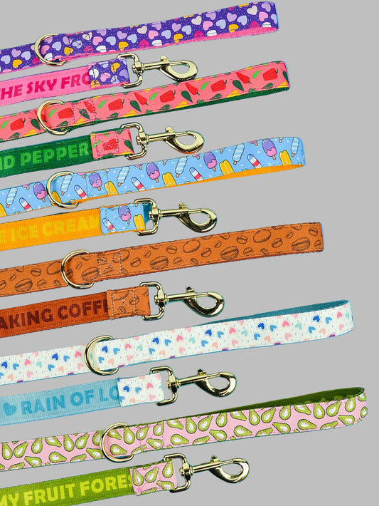Holiday Pet Leash™ – Double-Sided Print