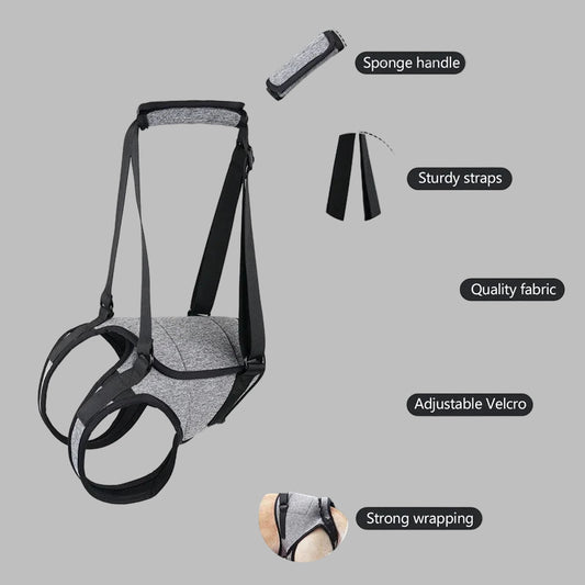 LiftEase™ Adjustable Dog Support Harness