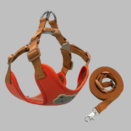 PawCharm™ Cartoon Pet Harness & Leash