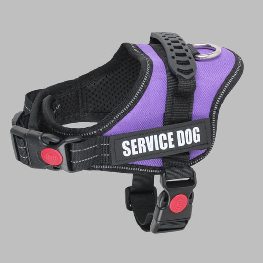 PawPatrol™ Customizable No-Pull Dog Harness with Reflective Patches