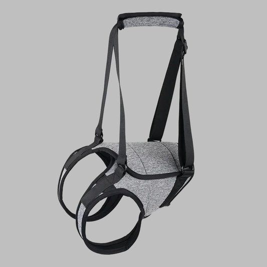 LiftEase™ Adjustable Dog Support Harness